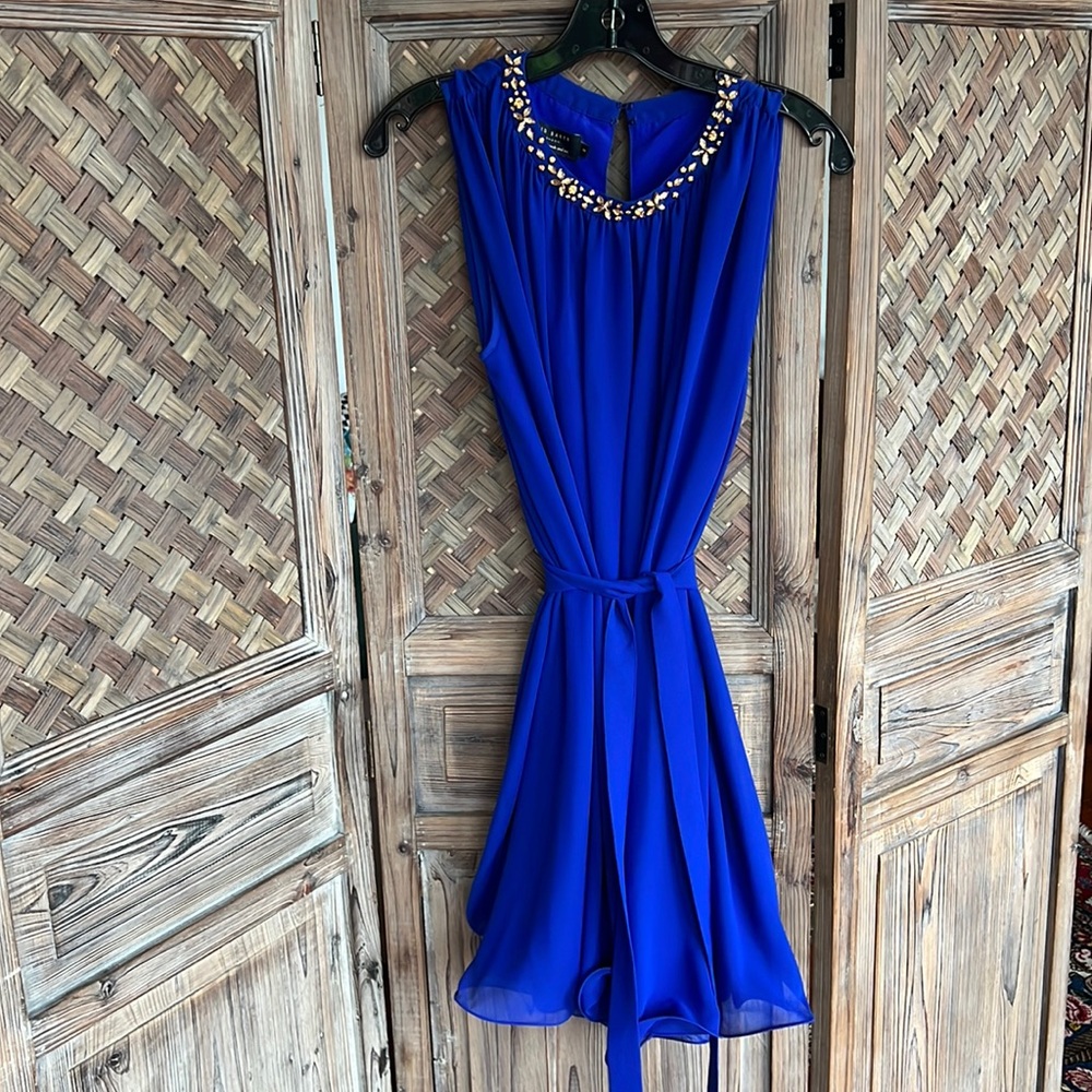 Ted Baker Dress with Jeweled Neckline